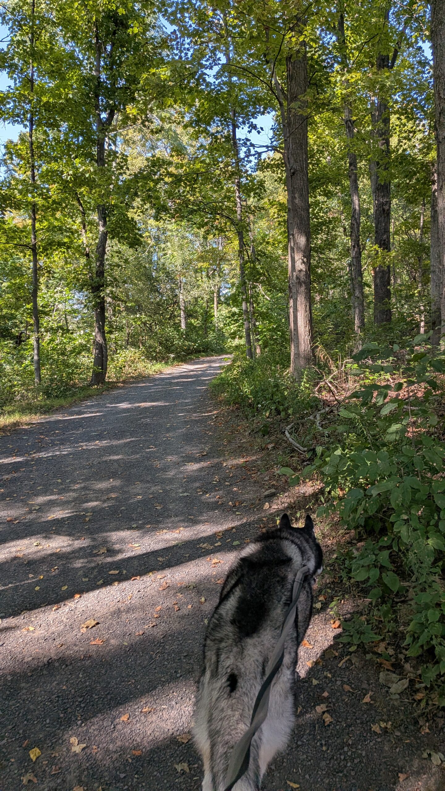 PXL_20250909_191054496.MP