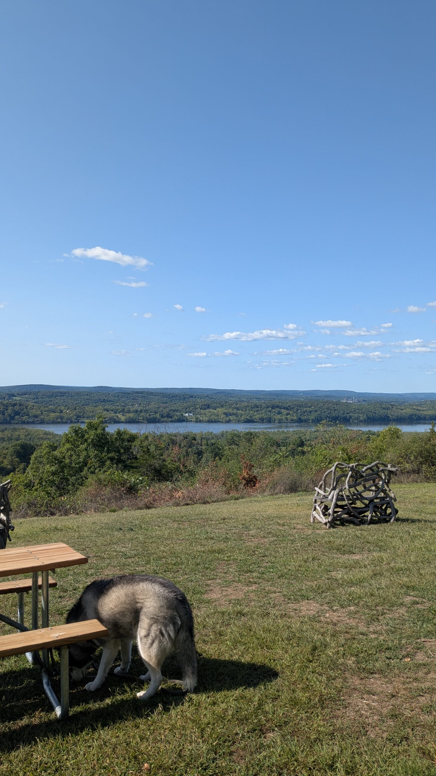 PXL_20250909_191946515