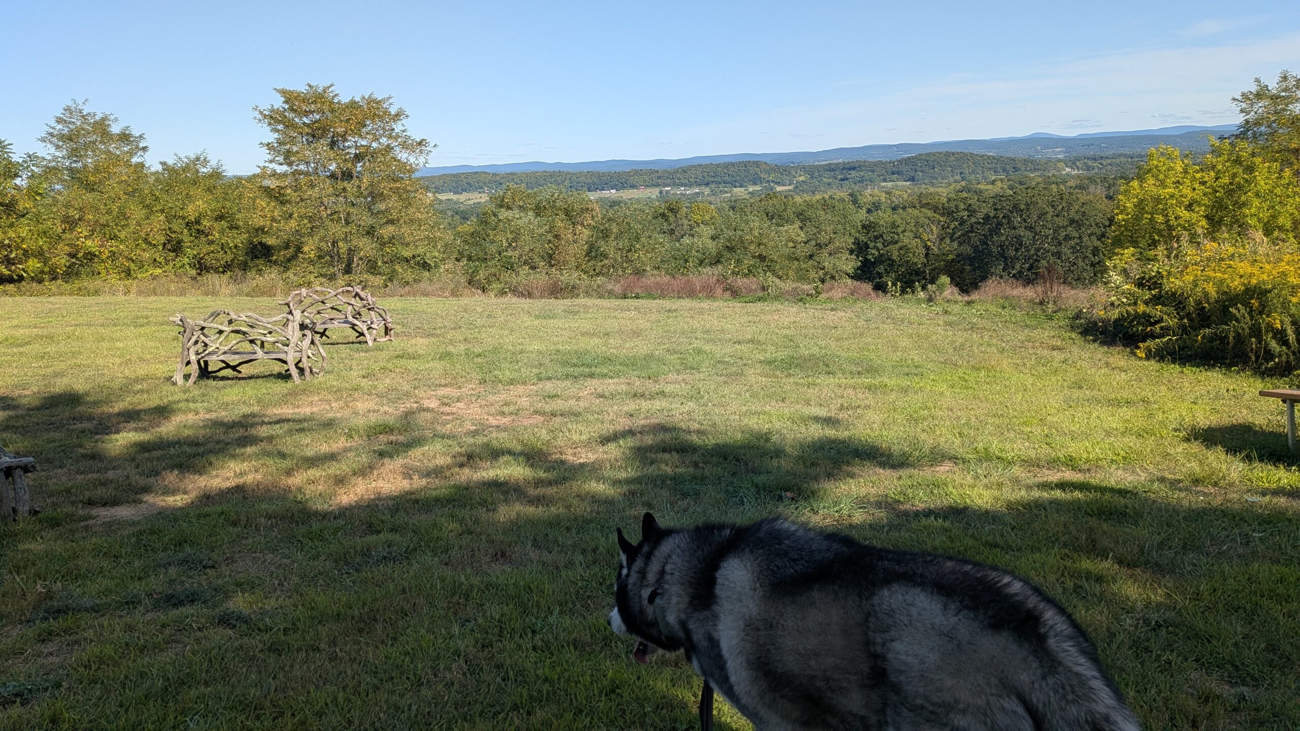 PXL_20250909_192237625