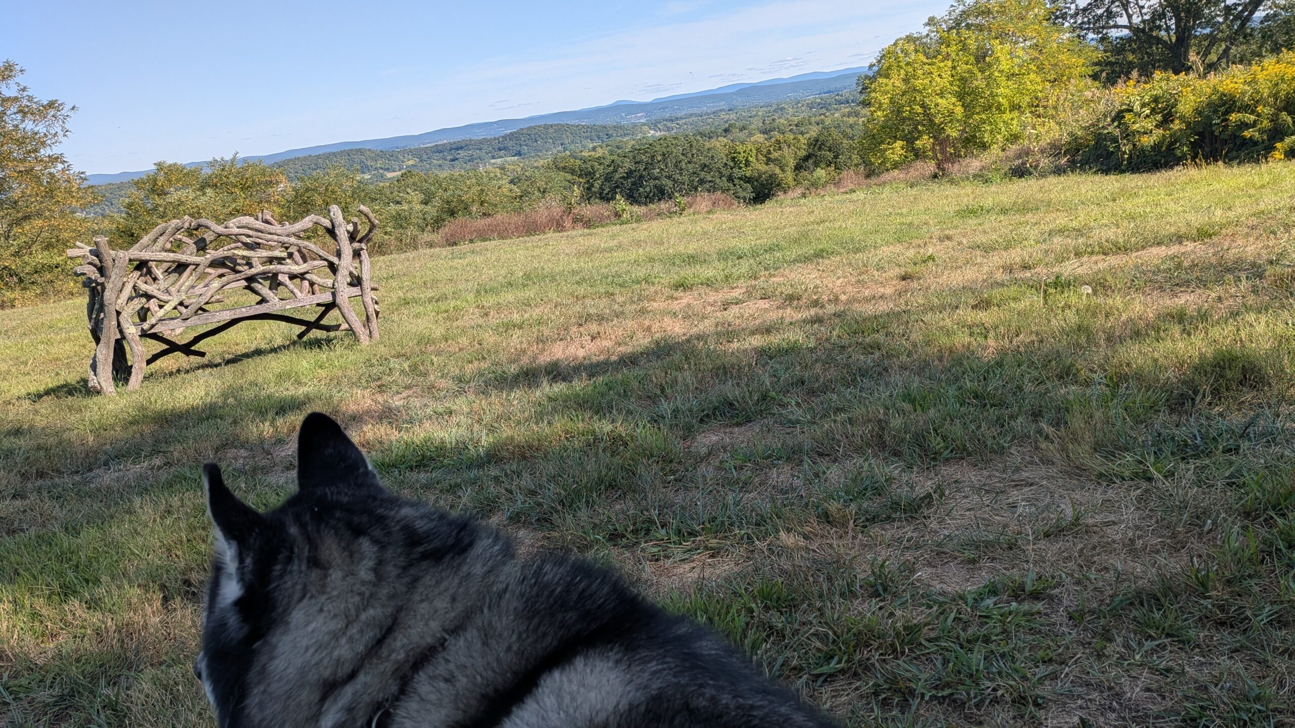 PXL_20250909_192528479