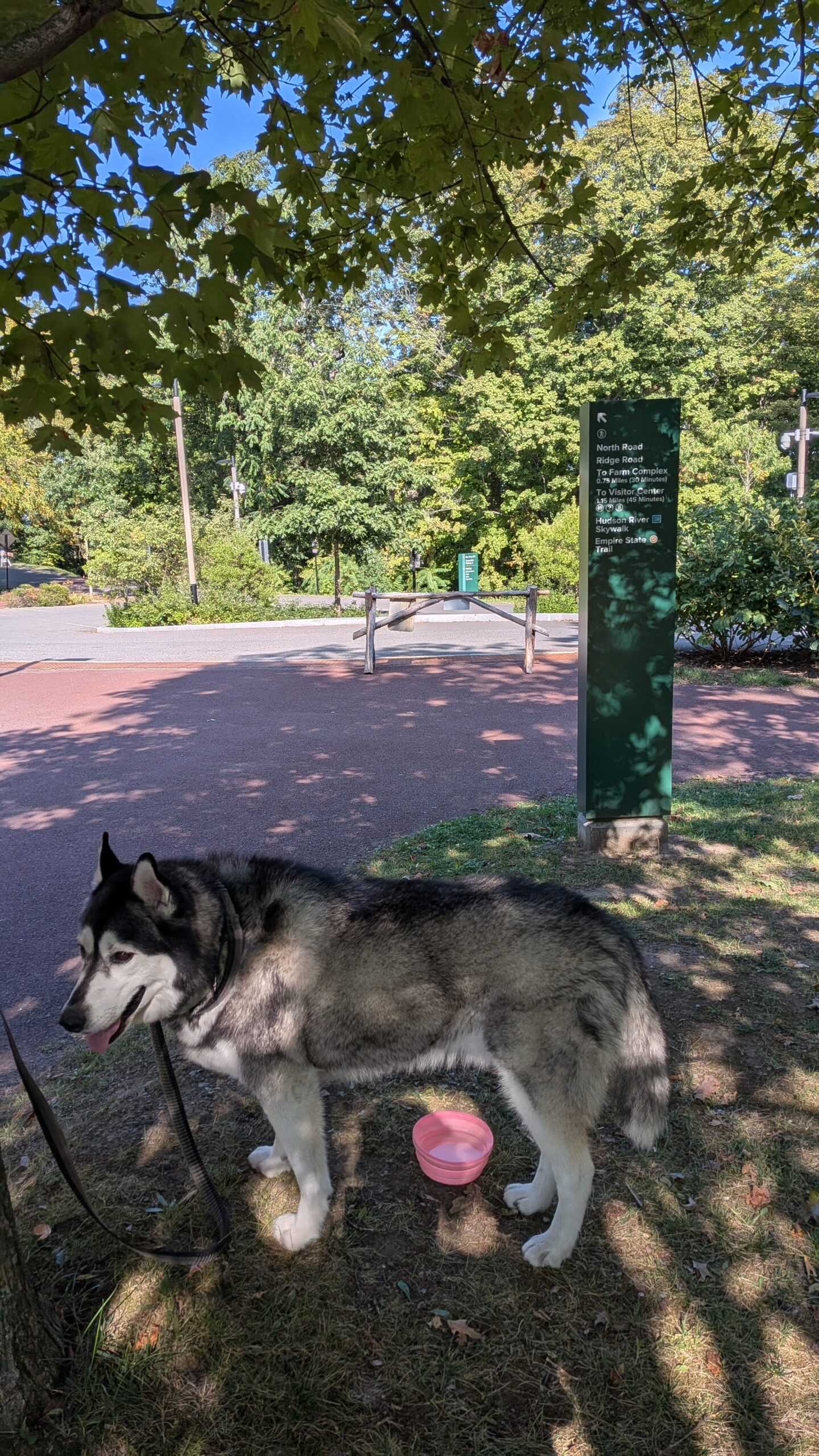 PXL_20250909_195039759